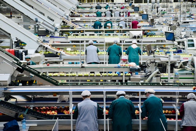 factory workers at apple processing facility