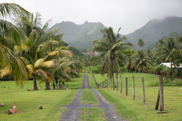 driveway in Rarotonga, Cook Islands